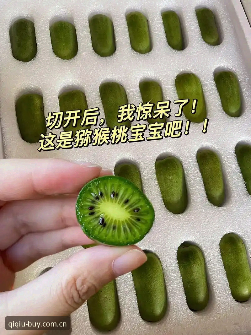 奇异果体育平台活动参与全教程：从入门到精通的操作指南