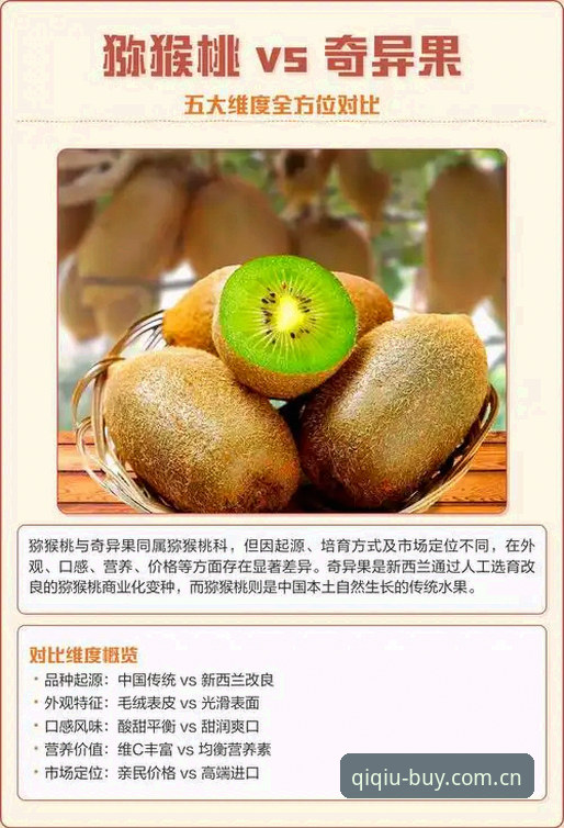 奇异果最新入口深度评测：从v2.3.0版本看奇异果体育平台的全维度体验